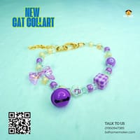 New cat collar 😻🐾_img_0