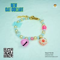 New cat collar 😻🐾_img_0