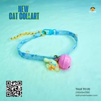 New cat collar 😻🐾_img_0