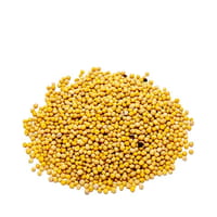 Mustard Seed (Yellow) 100 gm_img_0