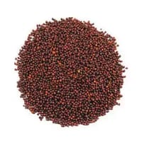 Mustard Seed (Red) 100 gm_img_0