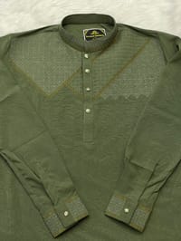 Sequence Embroidery Panjabi_img_3