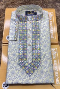 পার্টি পাঞ্জাবি_img_3