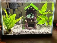 চায়না একুরিয়াম  ( ফিল্টার+লাইট)_img_13