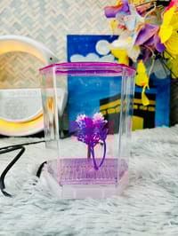 হাফ লিটার মিনি একুরিয়াম মাছ সহ ৮ আইটেম ফুল সেটাপ_img_12