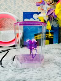 হাফ লিটার মিনি একুরিয়াম মাছ সহ ৮ আইটেম ফুল সেটাপ_img_11