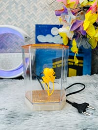 হাফ লিটার মিনি একুরিয়াম মাছ সহ ৮ আইটেম ফুল সেটাপ_img_2