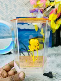 হাফ লিটার মিনি একুরিয়াম মাছ সহ ৮ আইটেম ফুল সেটাপ_img_4