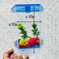হাফ লিটার মিনি একুরিয়াম মাছ সহ ৮ আইটেম ফুল সেটাপ_img_1