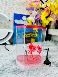 হাফ লিটার মিনি একুরিয়াম মাছ সহ ৮ আইটেম ফুল সেটাপ_img_10