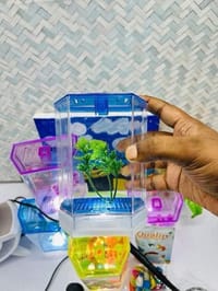 হাফ লিটার মিনি একুরিয়াম মাছ সহ ৮ আইটেম ফুল সেটাপ_img_27