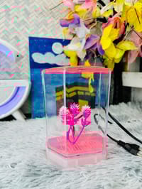 হাফ লিটার মিনি একুরিয়াম মাছ সহ ৮ আইটেম ফুল সেটাপ_img_6