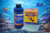 মাছ সহ ১০ আইটেম ফুল সেটাপ কুইন ক্যাসেল একুরিয়াম   ৪লিটার_img_7