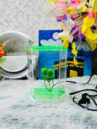 হাফ লিটার মিনি একুরিয়াম মাছ সহ ৮ আইটেম ফুল সেটাপ_img_17