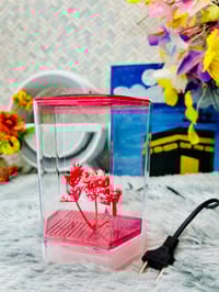 হাফ লিটার মিনি একুরিয়াম মাছ সহ ৮ আইটেম ফুল সেটাপ_img_8