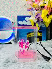 হাফ লিটার মিনি একুরিয়াম মাছ সহ ৮ আইটেম ফুল সেটাপ_img_5