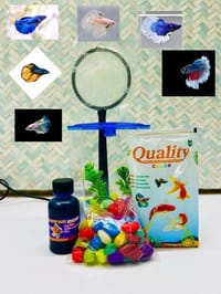 হাফ লিটার মিনি একুরিয়াম মাছ সহ ৮ আইটেম ফুল সেটাপ_img_0