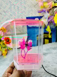 হাফ লিটার মিনি একুরিয়াম মাছ সহ ৮ আইটেম ফুল সেটাপ_img_7