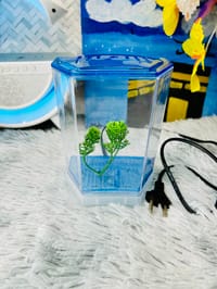 হাফ লিটার মিনি একুরিয়াম মাছ সহ ৮ আইটেম ফুল সেটাপ_img_16