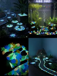 আর্টিফিশিয়াল সামুদ্রিক স্টোন_img_1