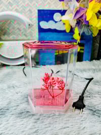 হাফ লিটার মিনি একুরিয়াম মাছ সহ ৮ আইটেম ফুল সেটাপ_img_9