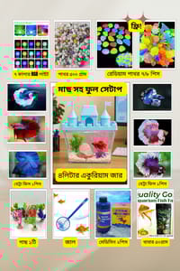 মাছ সহ ১০ আইটেম ফুল সেটাপ কুইন ক্যাসেল একুরিয়াম   ৪লিটার_img_0