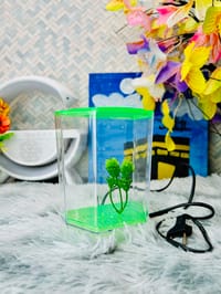 হাফ লিটার মিনি একুরিয়াম মাছ সহ ৮ আইটেম ফুল সেটাপ_img_18