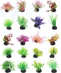 হাফমুন ২লিটার একুরিয়াম মাছ সহ ১১ আইটেম সেট_img_23