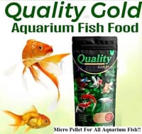 হাফমুন ২লিটার একুরিয়াম মাছ সহ ১১ আইটেম সেট_img_21