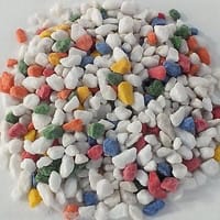 হাফমুন ২লিটার একুরিয়াম মাছ সহ ১১ আইটেম সেট_img_22