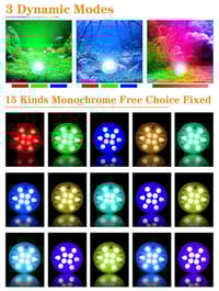 হাফমুন ২লিটার একুরিয়াম মাছ সহ ১১ আইটেম সেট_img_20