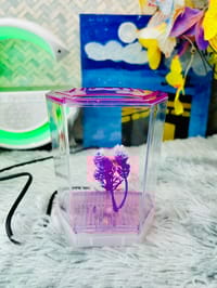 হাফ লিটার মিনি একুরিয়াম মাছ সহ ৮ আইটেম ফুল সেটাপ_img_13