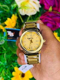 ⌚ Erix Gold Classic Analog Watch_img_0