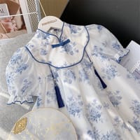 Kids Girls Summer Chinese Traditional Style Party Dress (2–7 Years)_img_2