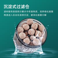 Mofish Sponge Filter With Bio Section🌪️_img_4