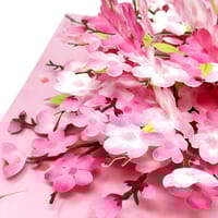 Pop-up Gift Cards + Premium Envelope_img_17