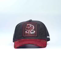 Episodes 'Cobra' High Crown Suede Cap_img_2