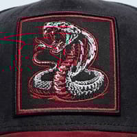 Episodes 'Cobra' High Crown Suede Cap_img_4