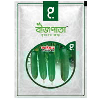 আইকন শসা বীজ Icon Cucumber Seed_img_0