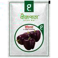 ইন্ডিগো এফ১ হাইব্রিড ক্যাপসিকাম বীজ। Indigo F1 Hybrid Capsicum Seeds_img_0