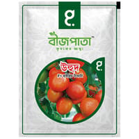 উহুদ এফ১ হাইব্রিড টমেটো। Uhud F1 Hybrid Tomato_img_0