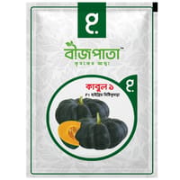 কাবুল ১ এফ১ হাইব্রিড মিষ্টিকুমড়া বীজ। Kabul 1 F1 Hybrid Pumpkin Seeds_img_0