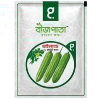 থাইল্যান্ড এফ১ হাইব্রিড করলা বীজ। Thailand F1 Hybrid Karla Seeds_img_0