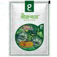 মদিনা ১ মিষ্টিকুমড়া বীজ Madina 1 Pumpkin Seed_img_0