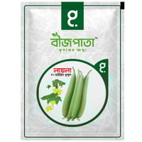 লায়লা ধুন্দুল বীজ Laila Sponge Gourd Seed_img_0