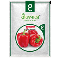 সুলতানা এফ১ হাইব্রিড ক্যাপসিকাম Sultana F1 Hybrid Capsicum_img_0