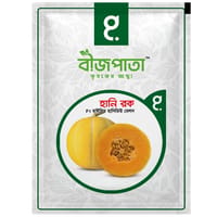 হানি রক হানিডিউ মেলন বীজ Honey Rock Honeydew Melon Seed_img_0