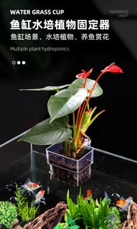 Water Grass Cup🌱🗑️_img_0