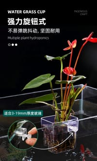 Water Grass Cup🌱🗑️_img_1