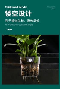 Water Grass Cup🌱🗑️_img_4